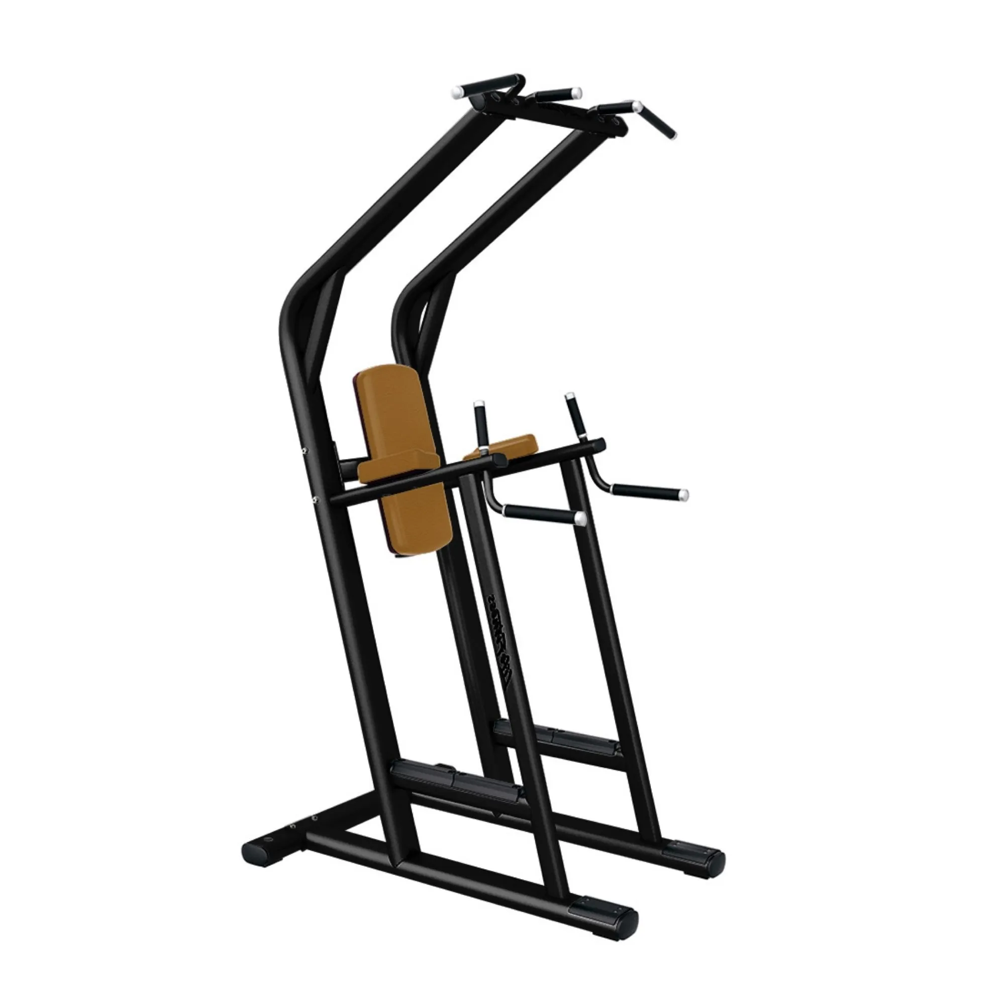 Traction / Dips / Abdominaux – LIFE FITNESS